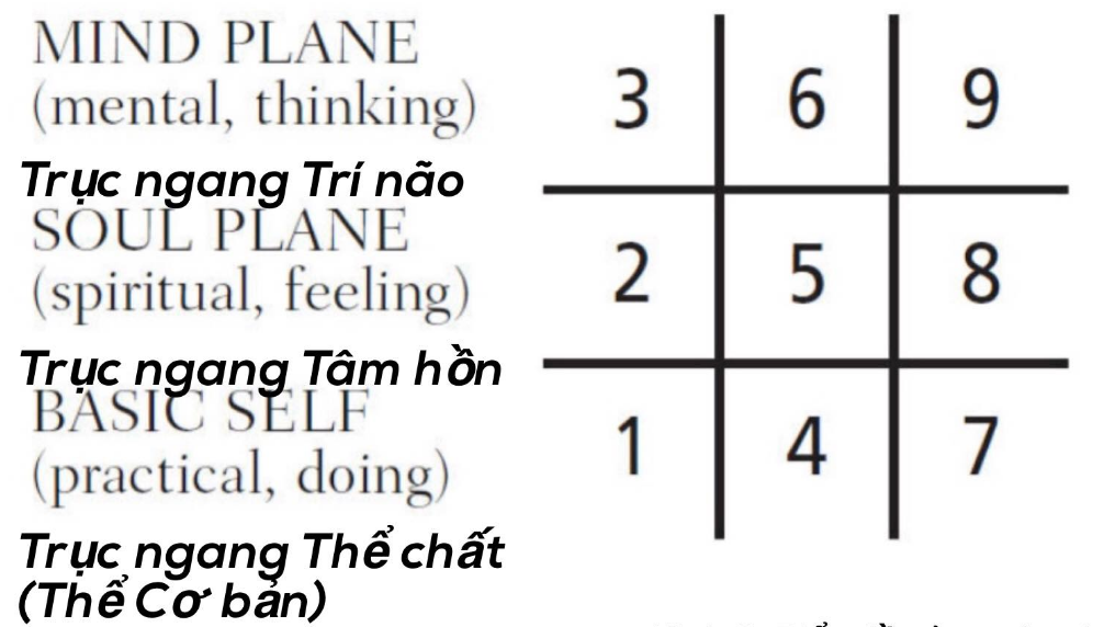 Thần số học và Tarot: 6 ứng dụng trong cuộc sống khi hiểu ý nghĩa các con số.